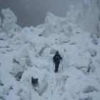 Zdjęcie Darek Załuski