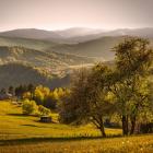  Na górze Malnik, górującej nad Muszyną, istnieje mała osada z kilkoma domami....