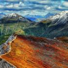 fot. Przemysław Piegza