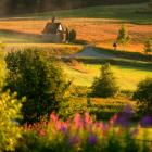 Kapliczka na Koskowej Górze. Zdjęcie Michał Sośnicki