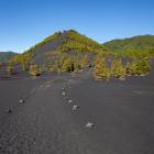 Szlak do punktu widokowego na najmłodszy
na wyspie wulkan Tajogaite wiedzie przez pola...