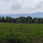 Beskid Mały w okolicach Kiczery Fot. Tomasz Cylka 