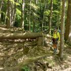 Zdjęcie Daniel Przewoźny