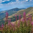 Stara Płanina to region o wyjątkowych walorach przyrodniczych | Fot. Katarzyna Juszczyk