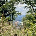 Fot. Kacper Szymański