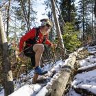 Leśnik to powalone drzewa na trasie.. Fot. KATARZYNA GOGLER