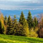 Widok na grań Tatr ze szlaku na Czupel. Zdjęcie Mikołaj Gospodarek