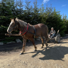  Rzadki widok, koń koło Schoniska PTTK na Czerwonych Wierchach. Fot. Kajetan...