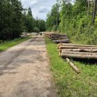 Wędrówka po Sieradowickim Parkiem Krajobrazowym to sama przyjemność. Fot. Tomasz Wolff