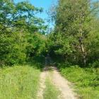 Główny Szlak Beskidzki Markowe Szczawiny - Rysianka Fot. Tomasz Wolff