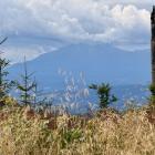 Fot. Kacper Szymański