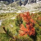 Lodowy Szczyt widziany z Doliny Pięciu Stawów Spiskich. Zdjęcie Przemysław Piegza