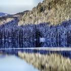 Ośnieżone drzewa
odbijające się w tafli
wody tworzą niezwykle
malowniczy krajobraz,...