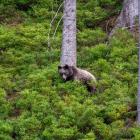 Zdjęcie Adobe Stock