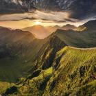 Fot. Mikołaj Gospodarek 