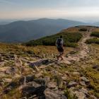 Fot. Zawojski Festiwal Biegowy