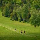 Fot. Archiwum Organizatora