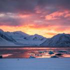 Fot. Joanna Perchaluk