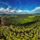 Dzikowiec | Fot. Dolny Śląsk