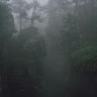 Zdjęcie Bartek Muracki