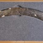 Zdjęcie Paweł Valde-Nowak