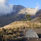 Fot. Monika Witkowska