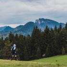 Fot. Pieniny Ultra Trail