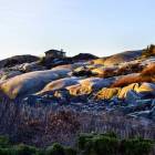 Na skalistym norweskim wybrzeżu często spotkać można drewniane letniskowe domki,...