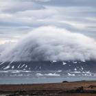 Fot. Joanna Perchaluk