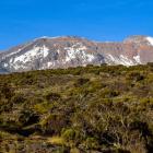 Fot. Katarzyna Juszczyk