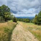 W drodze do schroniska | Fot. Agnieszka Polak