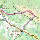 Rejon Połoniny Caryńskiej