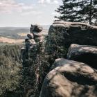 Fot. Paulina Grzesiok