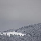 Schronisko na Turbaczu i Metysówka na Hali Długiej. Widok z Polany Przysłopek. Zdjęcie...