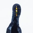 Zdjęcie z archiwum Mikołaja Sondeja