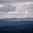 zdjęcie Kinga Liwak