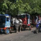 Postój „taksówek” w VillariceFot. Julia Zabrodzka