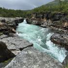 Abiskojåkka – rwąca górska rzeka
w Parku Narodowym Abisko
Abiskojåkka – rwąca górska...