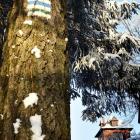 Schronisko na Luboniu Wielkim. Fot Anna Grebieniow