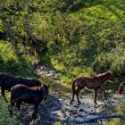 Fot. Fotema, Adobe Stock