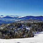  Beskid Żywiecki, Hala-Boracza oraz Hala-Redykalna. Widoki na szczyty Małej...
