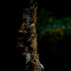 Fot. Kuba Polanowski 