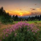 Piękno beskidzkich polan. Zdjęcie Michał Sośnicki