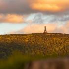 Wieża widokowa na Śnieżniku. Zdjęcie Adobe Stock