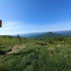 Zdjęcie Daniel Przewoźny