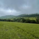 Ostatni odcinek GSB w Beskidzie Niskim nie obfituje w spektakularne widoki. Zdjęcie...