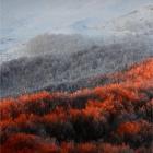 Bieszczady, widok na Krzemień, fot. Grzegorz Leśniewski