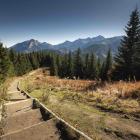 Podejście z Rusinowej Polany na Gęsią Szyję Fot. Karol Nienartowicz 