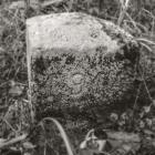 Dawny kamień graniczny na Trojakach fot. Tomasz Wolff