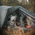 Zdjęcie Magdalena Wilczewska